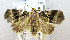 ( - USNM ENT 00721072)  @12 [ ] Unspecified (default): All Rights Reserved  Unspecified Unspecified