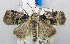  ( - USNM ENT 00721080)  @13 [ ] Unspecified (default): All Rights Reserved  Unspecified Unspecified