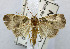  ( - USNM ENT 00721612)  @11 [ ] Unspecified (default): All Rights Reserved  Unspecified Unspecified
