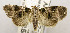  ( - USNM ENT 00721906)  @11 [ ] Unspecified (default): All Rights Reserved  Unspecified Unspecified
