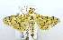  ( - USNM ENT 00724360)  @13 [ ] Unspecified (default): All Rights Reserved  Unspecified Unspecified