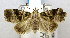  ( - USNM ENT 00724643)  @12 [ ] Unspecified (default): All Rights Reserved  Unspecified Unspecified