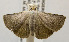  ( - USNM ENT 00980785)  @14 [ ] Unspecified (default): All Rights Reserved  Unspecified Unspecified