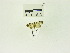  ( - USNM ENT 00666513)  @12 [ ] Unspecified (default): All Rights Reserved  Unspecified Unspecified