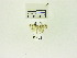  ( - USNM ENT 00666525)  @12 [ ] Unspecified (default): All Rights Reserved  Unspecified Unspecified
