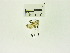  ( - USNM ENT 00666592)  @12 [ ] Unspecified (default): All Rights Reserved  Unspecified Unspecified