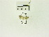  ( - USNM ENT 00667840)  @12 [ ] Unspecified (default): All Rights Reserved  Unspecified Unspecified