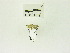  ( - USNM ENT 00660621)  @12 [ ] Unspecified (default): All Rights Reserved  Unspecified Unspecified