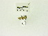  ( - USNM ENT 00660935)  @12 [ ] Unspecified (default): All Rights Reserved  Unspecified Unspecified