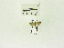  ( - USNM ENT 00662000)  @12 [ ] Unspecified (default): All Rights Reserved  Unspecified Unspecified