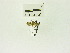  ( - USNM ENT 00662002)  @12 [ ] Unspecified (default): All Rights Reserved  Unspecified Unspecified