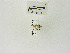  ( - USNM ENT 00662050)  @12 [ ] Unspecified (default): All Rights Reserved  Unspecified Unspecified