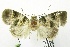  ( - USNM ENT 00666500)  @12 [ ] Unspecified (default): All Rights Reserved  Unspecified Unspecified