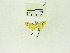  ( - USNM ENT 00666508)  @12 [ ] Unspecified (default): All Rights Reserved  Unspecified Unspecified