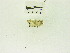  ( - USNM ENT 00668029)  @12 [ ] Unspecified (default): All Rights Reserved  Unspecified Unspecified