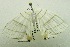  ( - USNM ENT 00676009)  @13 [ ] Unspecified (default): All Rights Reserved  Unspecified Unspecified