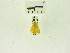  ( - USNM ENT 00676146)  @12 [ ] Unspecified (default): All Rights Reserved  Unspecified Unspecified
