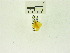  ( - USNM ENT 00676165)  @12 [ ] Unspecified (default): All Rights Reserved  Unspecified Unspecified