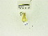  (Acraga leberna - USNM ENT 00676169)  @12 [ ] Unspecified (default): All Rights Reserved  Unspecified Unspecified
