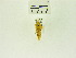  ( - USNM ENT 00676237)  @12 [ ] Unspecified (default): All Rights Reserved  Unspecified Unspecified