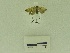  ( - USNM ENT 00500418)  @12 [ ] Unspecified (default): All Rights Reserved  Unspecified Unspecified