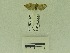  ( - USNM ENT 00500451)  @12 [ ] Unspecified (default): All Rights Reserved  Unspecified Unspecified