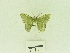  ( - USNM ENT 00500732)  @11 [ ] Unspecified (default): All Rights Reserved  Unspecified Unspecified