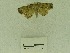  ( - USNM ENT 00513147)  @13 [ ] Unspecified (default): All Rights Reserved  Unspecified Unspecified