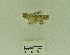  ( - USNM ENT 00513160)  @11 [ ] Unspecified (default): All Rights Reserved  Unspecified Unspecified