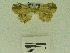  (Tamba sp. AAH0984 - USNM ENT 00513161)  @12 [ ] Unspecified (default): All Rights Reserved  Unspecified Unspecified