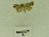  (Tamba sp. AAE9702 - USNM ENT 00513162)  @13 [ ] Unspecified (default): All Rights Reserved  Unspecified Unspecified