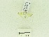  ( - USNM ENT 00513270)  @12 [ ] Unspecified (default): All Rights Reserved  Unspecified Unspecified