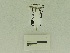  ( - USNM ENT 00660629)  @12 [ ] Unspecified (default): All Rights Reserved  Unspecified Unspecified