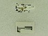  ( - USNM ENT 00660635)  @12 [ ] Unspecified (default): All Rights Reserved  Unspecified Unspecified