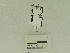  ( - USNM ENT 00660646)  @12 [ ] Unspecified (default): All Rights Reserved  Unspecified Unspecified