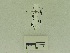  ( - USNM ENT 00660668)  @12 [ ] Unspecified (default): All Rights Reserved  Unspecified Unspecified