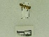  ( - USNM ENT 00660684)  @12 [ ] Unspecified (default): All Rights Reserved  Unspecified Unspecified