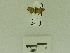  ( - USNM ENT 00660687)  @12 [ ] Unspecified (default): All Rights Reserved  Unspecified Unspecified