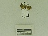  ( - USNM ENT 00660691)  @11 [ ] Unspecified (default): All Rights Reserved  Unspecified Unspecified