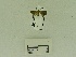  ( - USNM ENT 00660693)  @12 [ ] Unspecified (default): All Rights Reserved  Unspecified Unspecified