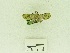  ( - USNM ENT 00660728)  @12 [ ] Unspecified (default): All Rights Reserved  Unspecified Unspecified