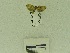  ( - USNM ENT 00660761)  @12 [ ] Unspecified (default): All Rights Reserved  Unspecified Unspecified