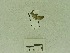  ( - USNM ENT 00660933)  @12 [ ] Unspecified (default): All Rights Reserved  Unspecified Unspecified