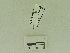  ( - USNM ENT 00662040)  @12 [ ] Unspecified (default): All Rights Reserved  Unspecified Unspecified