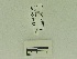  ( - USNM ENT 00662043)  @12 [ ] Unspecified (default): All Rights Reserved  Unspecified Unspecified