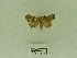  ( - USNM ENT 00664135)  @13 [ ] Unspecified (default): All Rights Reserved  Unspecified Unspecified