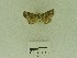  ( - USNM ENT 00664136)  @13 [ ] Unspecified (default): All Rights Reserved  Unspecified Unspecified