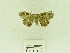  ( - USNM ENT 00664163)  @12 [ ] Unspecified (default): All Rights Reserved  Unspecified Unspecified