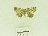  ( - USNM ENT 00664166)  @13 [ ] Unspecified (default): All Rights Reserved  Unspecified Unspecified
