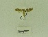  ( - USNM ENT 00666504)  @12 [ ] Unspecified (default): All Rights Reserved  Unspecified Unspecified